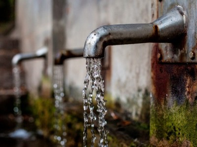 The Link Between Lead Exposure and Crime
