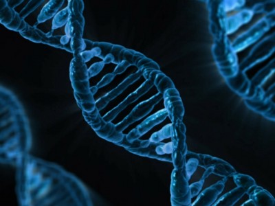 The Genetic Revolution: What Government Oversight?