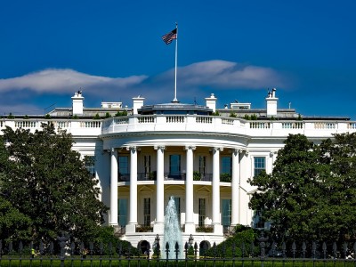 What’s Next? Batten Professors Weigh in on Election Results