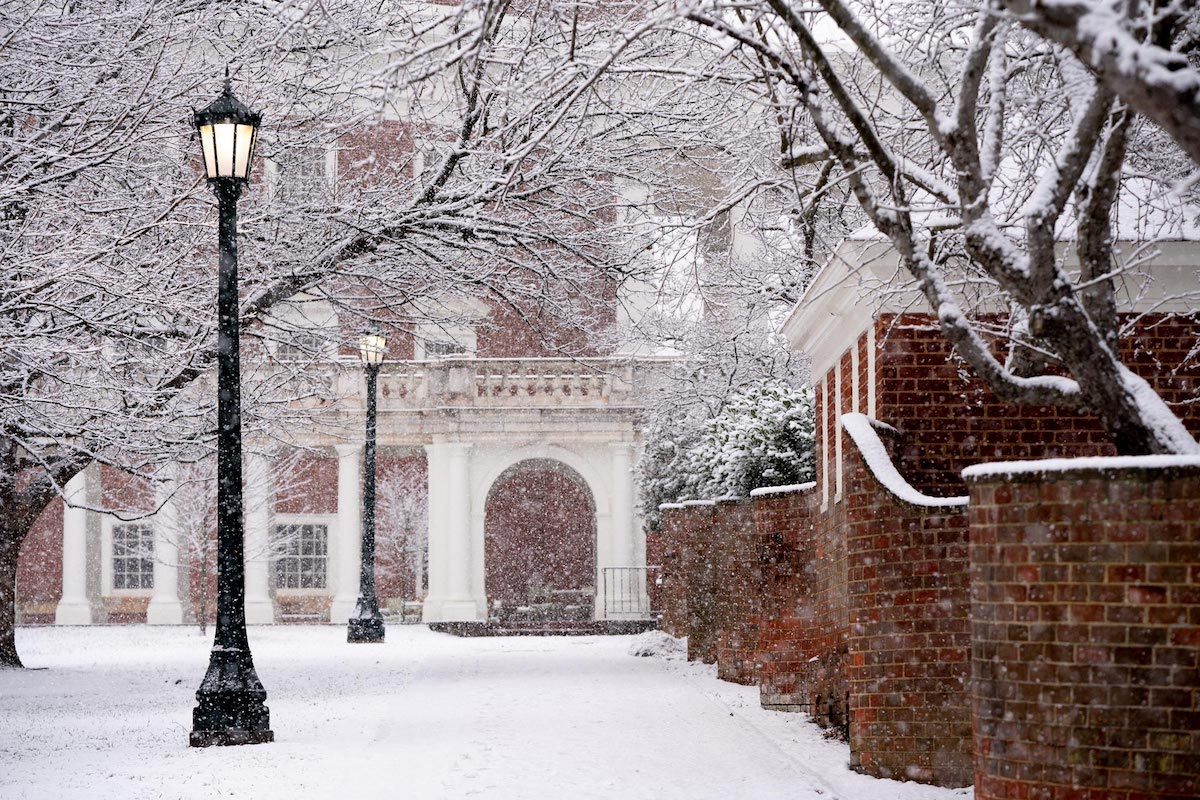 Batten Faculty and Students Elevate UVA’s Virtual January Term Offerings