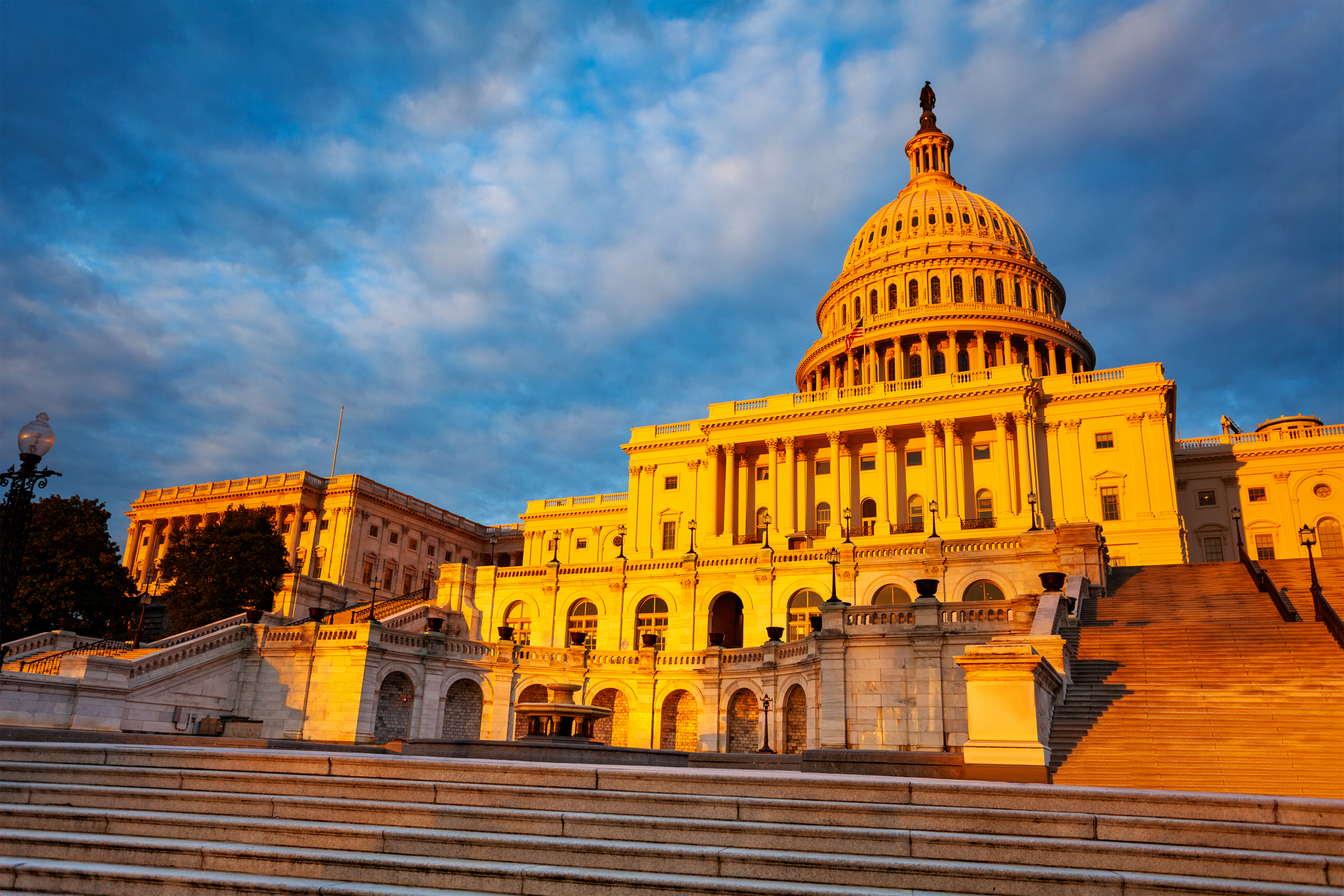 The Capitol