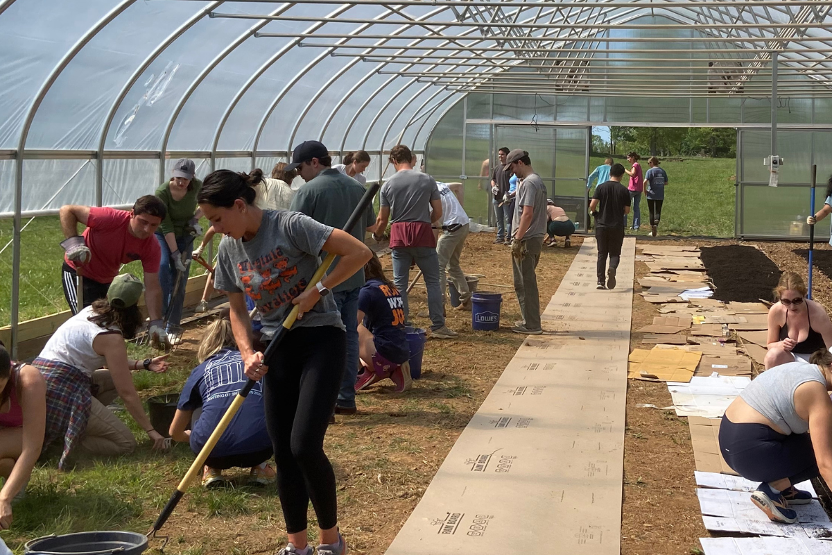 UVA Batten Students Lend a Hand to Local Nonprofit