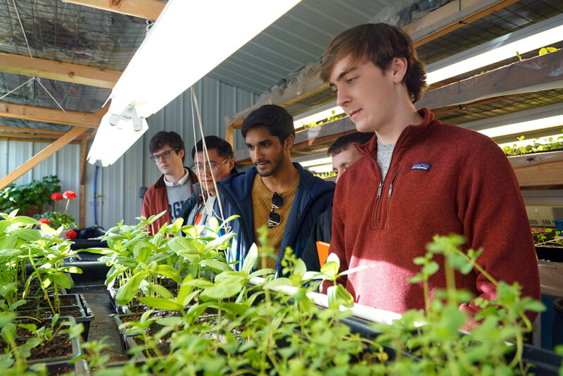 Students touring a greenhouse